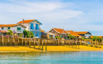 Arcachon : Sous la Surface des Eaux Calmes
