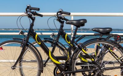 Arcachon : Ce Que Cachent Les Cabanes Tchanquées