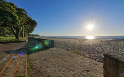 Arcachon : Les trésors cachés sous la marée