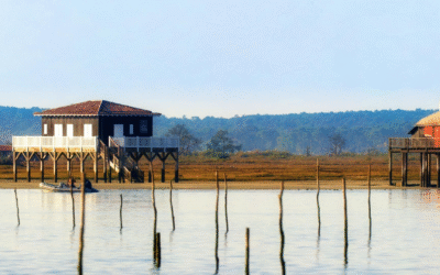 Été 2024 riche en découvertes sur le bassin d’arcachon