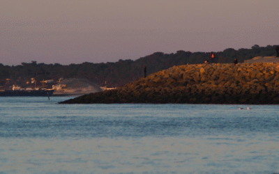 Écotourisme et traditions vibrent au cœur du bassin d’arcachon