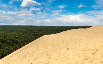 Arcachon et le moulleau, terrain de jeu des créateurs estivaux
