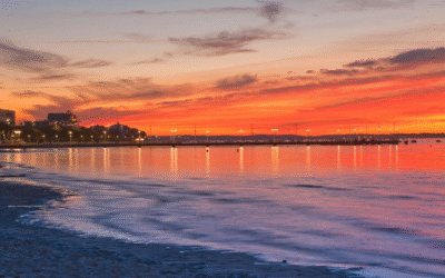 Voyage sensoriel sur les plages du bassin d’Arcachon