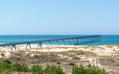 Bassin d’arcachon offre dune du pilat et îlots sauvages authentiques