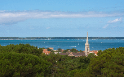 Nouveau souffle sur le bassin d’arcachon entre mer, nature, culture