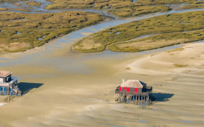 Bassin d’arcachon entre dune du pilat et cabanes tchanquées authentiques