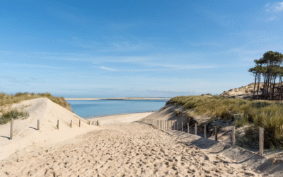 Plages du bassin d’Arcachon un écrin de sable et lumière