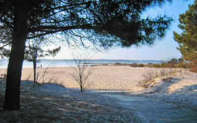 Échappez-vous sur la reine mouvante dune du Pilat