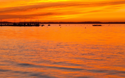 Bassin d’arcachon séduit 2,7 millions de visiteurs par traditions durables