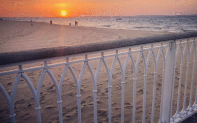 Bassin d’arcachon vibrant entre festivals, nature et saveurs marines