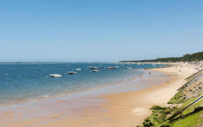 Immersion durable dans le bassin d’arcachon entre dunes et culture