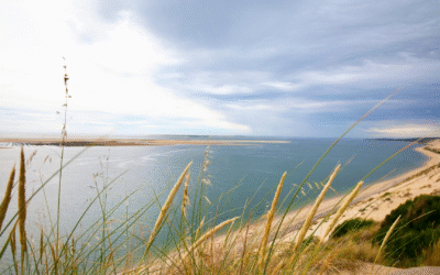 Plages d’arcachon incontournables et secrets méconnus à découvrir toute l’année
