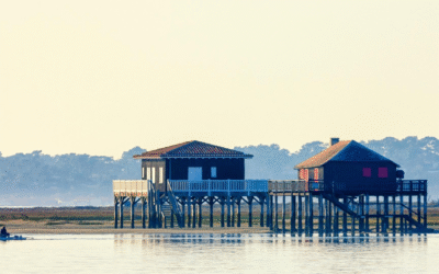 Découvrez l’écotourisme durable et les trésors cachés du bassin d’Arcachon