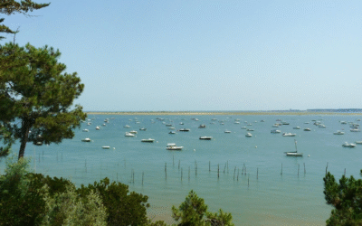 Arcachon cet été: culture, tourisme et projets verts à l’honneur