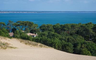 Essor du bassin d’arcachon célébré par tourisme et conchyliculture