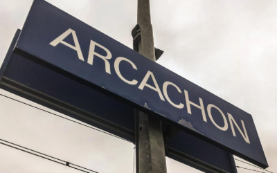 Bassin d’arcachon : record de visites et écotourisme florissant