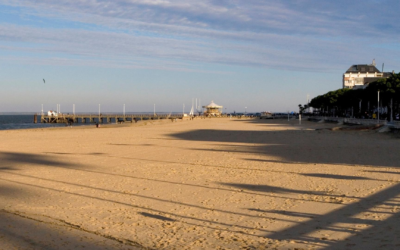 Dune du pilat joyau naturel entre pinède et océan