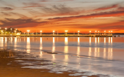 Arcachon en 2024 : une vague nature et culture