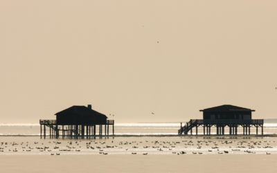 Voyage authentique au bassin d’arcachon entre sable et mer