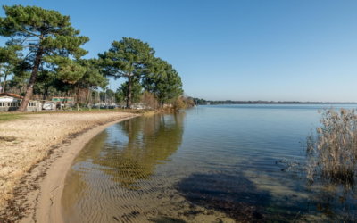 Bassin d’arcachon séduit toujours par culture, nature et innovation durable