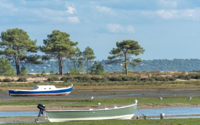 Plongez au cœur du moulleau arcachon et ses secrets
