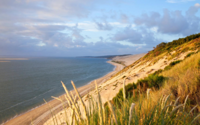 Arcachon vibre au rythme de culture, nature et traditions marines