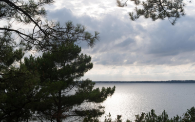 Arcachon célèbre record touristique tout en préservant son environnement