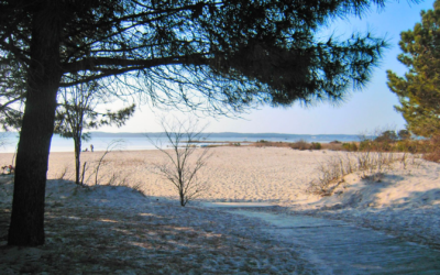 Arcachon durable entre écotourisme, patrimoine et découvertes responsables