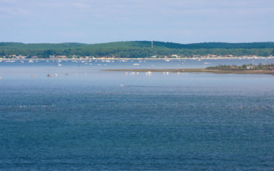 Plongez dans le charme du moulleau estival exceptionnel
