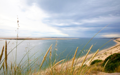 Secrets et splendeurs de la dune du pilat