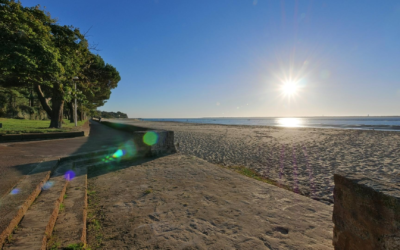 Bassin d’arcachon : record historique, écotourisme, culture et authenticité