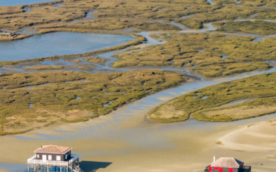 Découvrez le bassin d’arcachon: plages, criques et dune pilat inoubliable