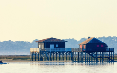 L’attrait durable du bassin d’Arcachon séduit touristes et locaux curieux