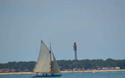 Le bassin d’arcachon en effervescence culturelle et naturelle en 2024